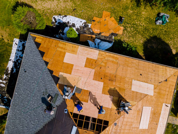 Best Roof Gutter Cleaning  in Post, TX
